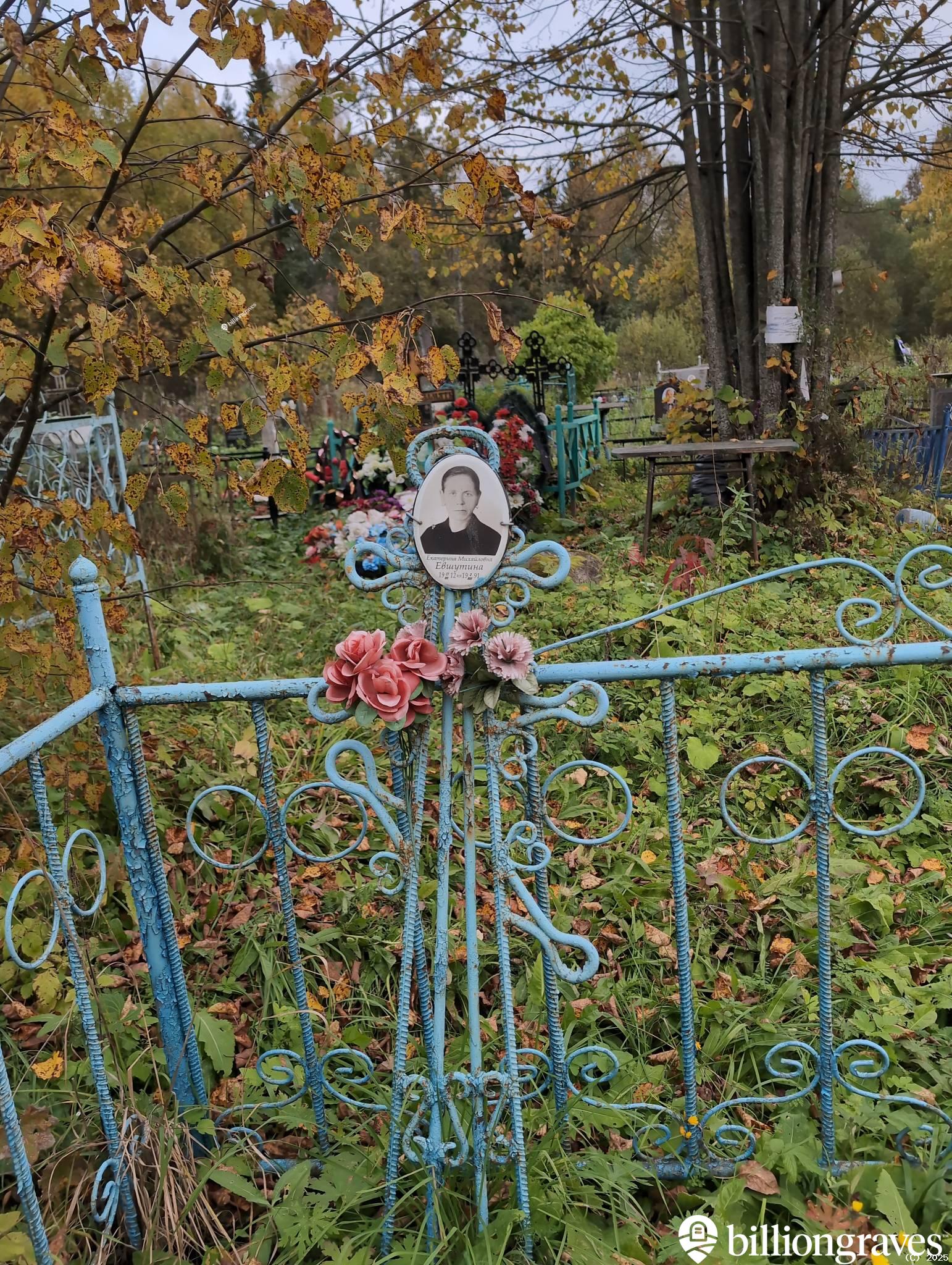 Евшутина Екатерина Михайловна