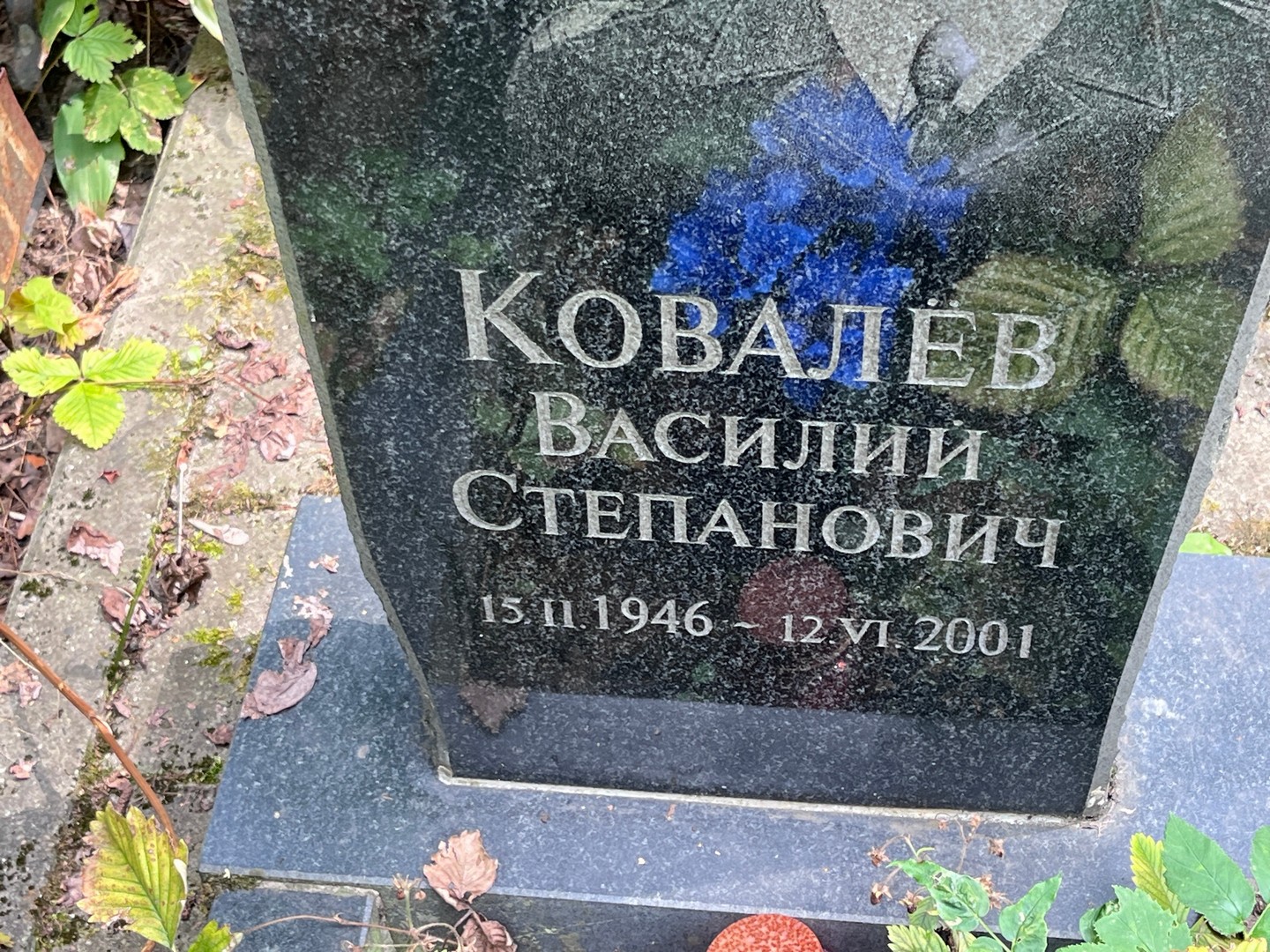 Ковалев
