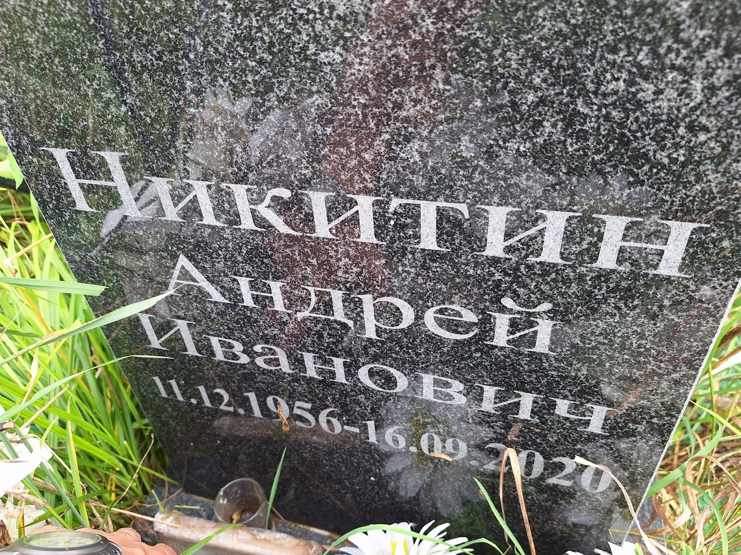Никитин