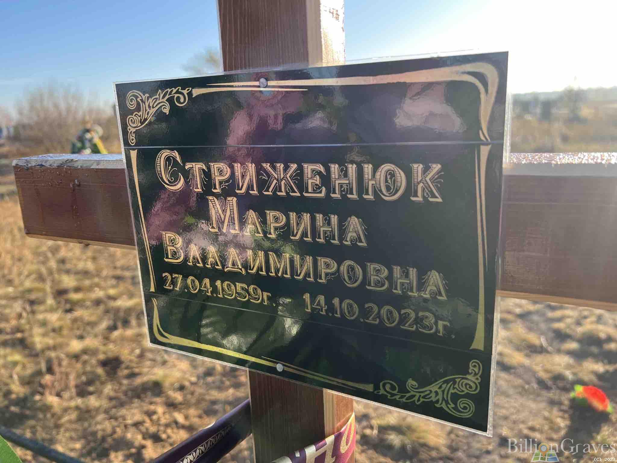 Стриженюк Марина Владимировна