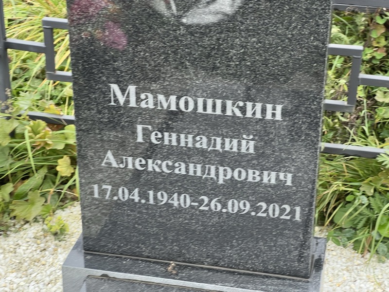 Мамошкин