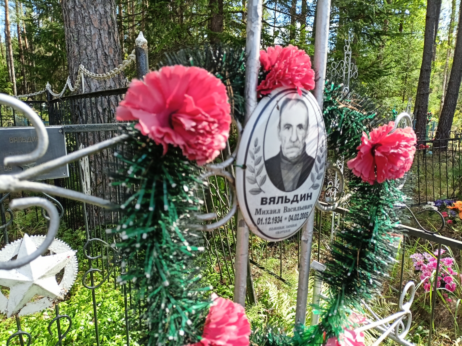 Вяльдин Михаил Васильевич