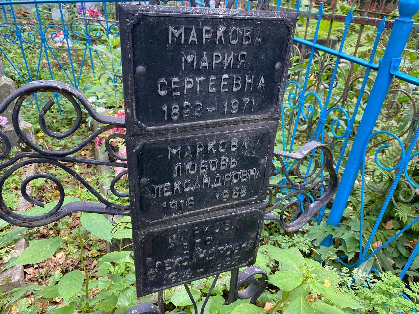 Маркова