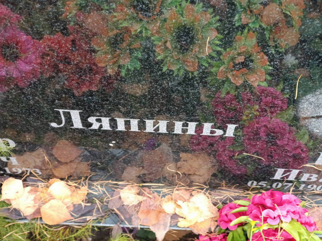 Ляпин Александр Иванович