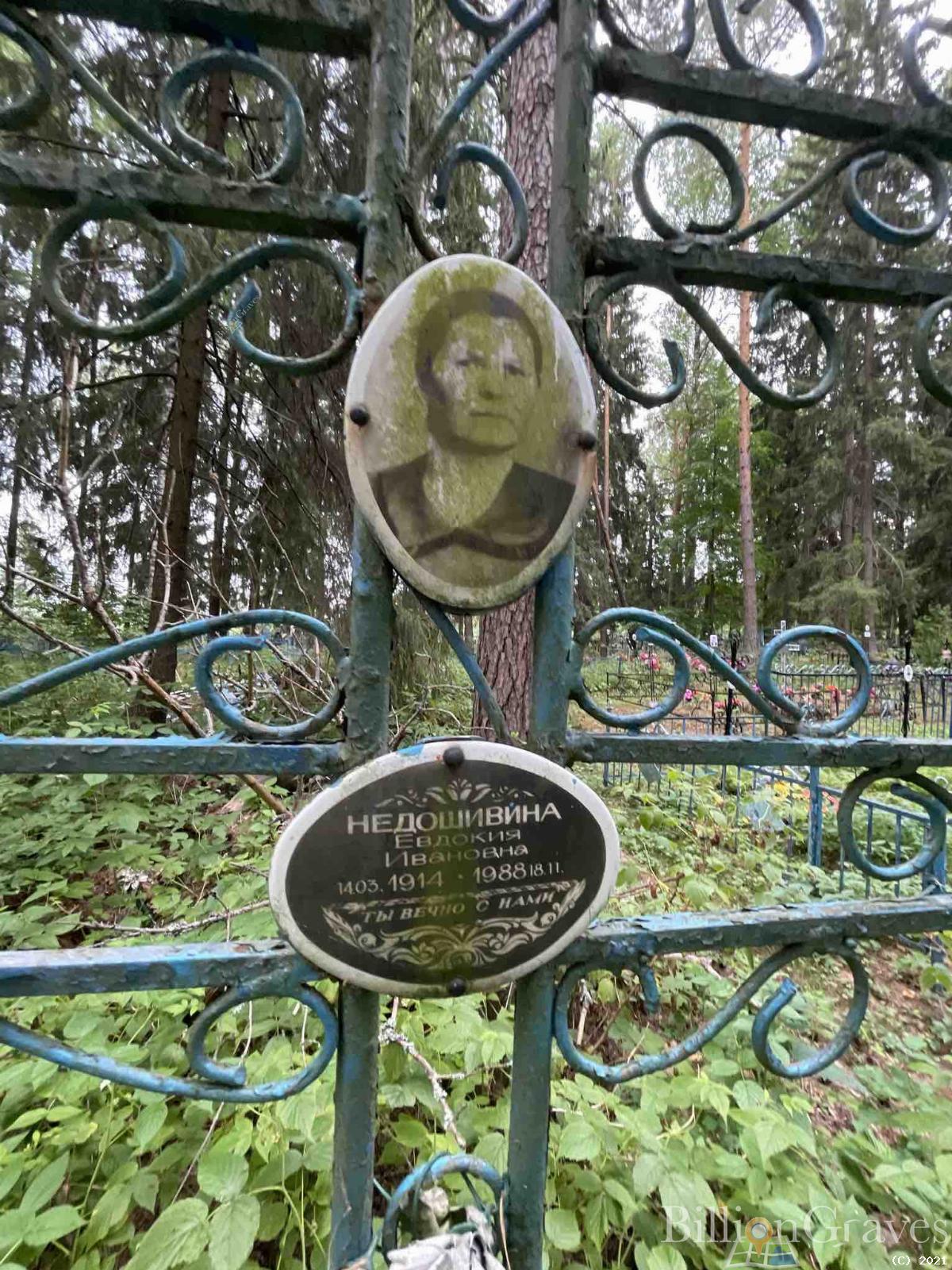 Недошивина Евдокия Ивановна