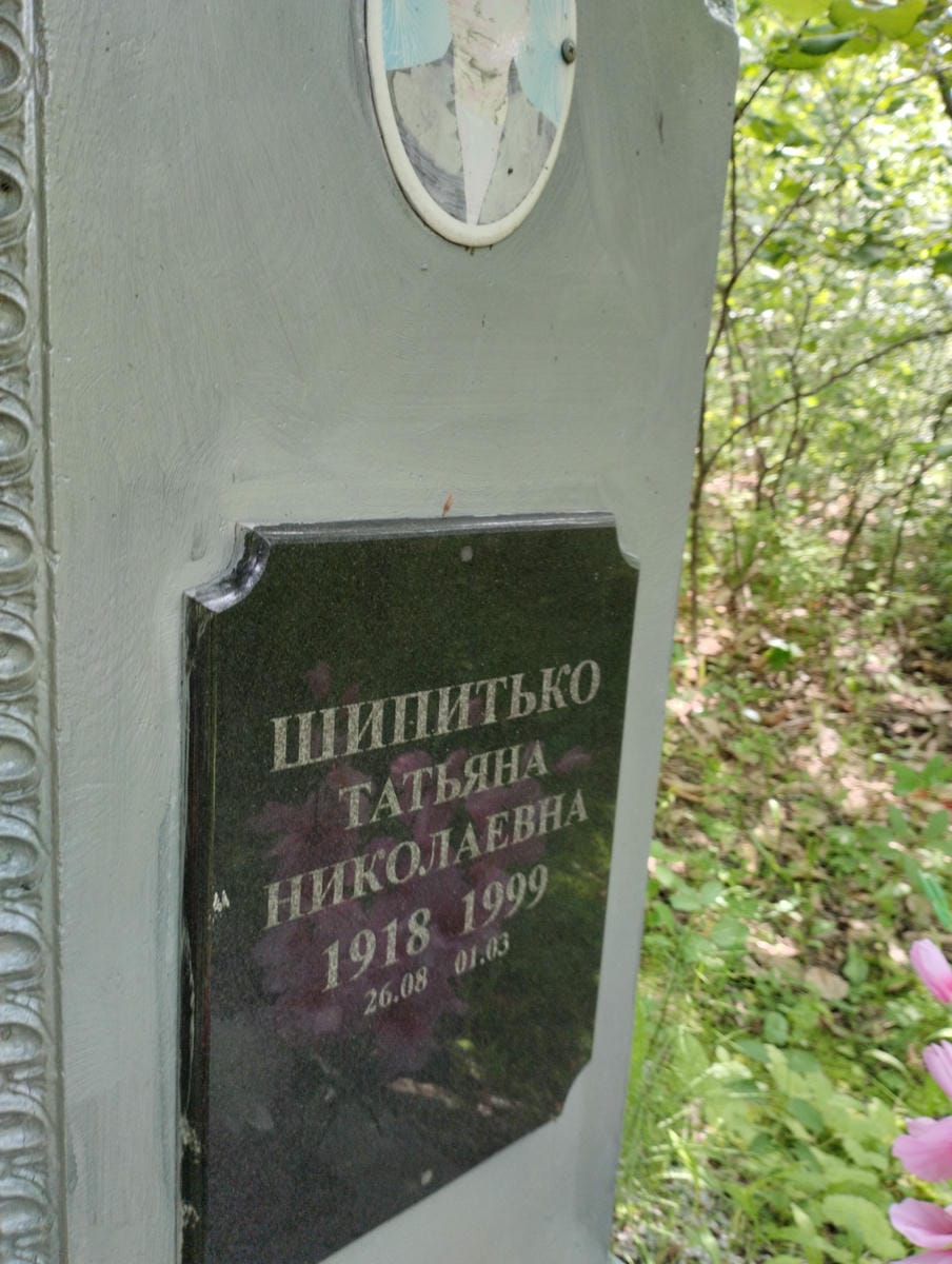 Шипитько Татьяна Николаевна