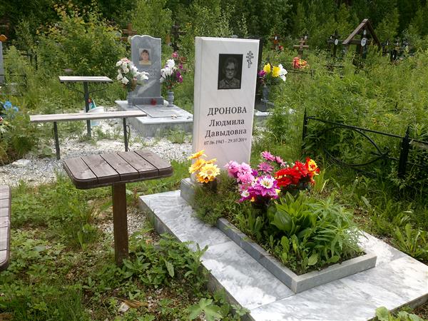 Дронова Людмила Давыдовна