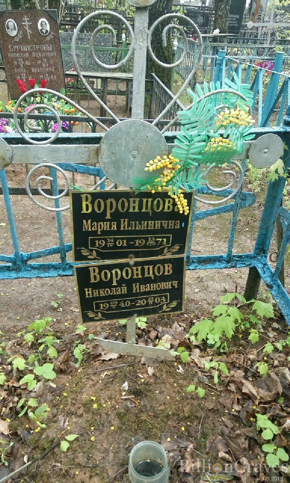 воронцова мария ильинична