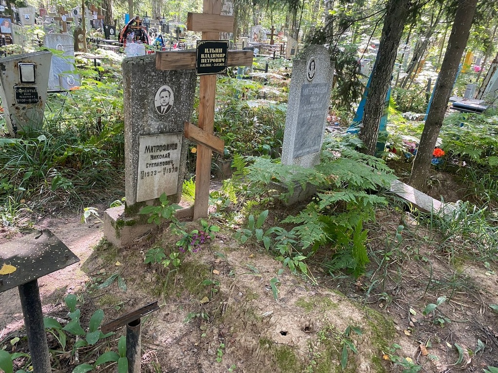 Ильин Владимир Петрович
