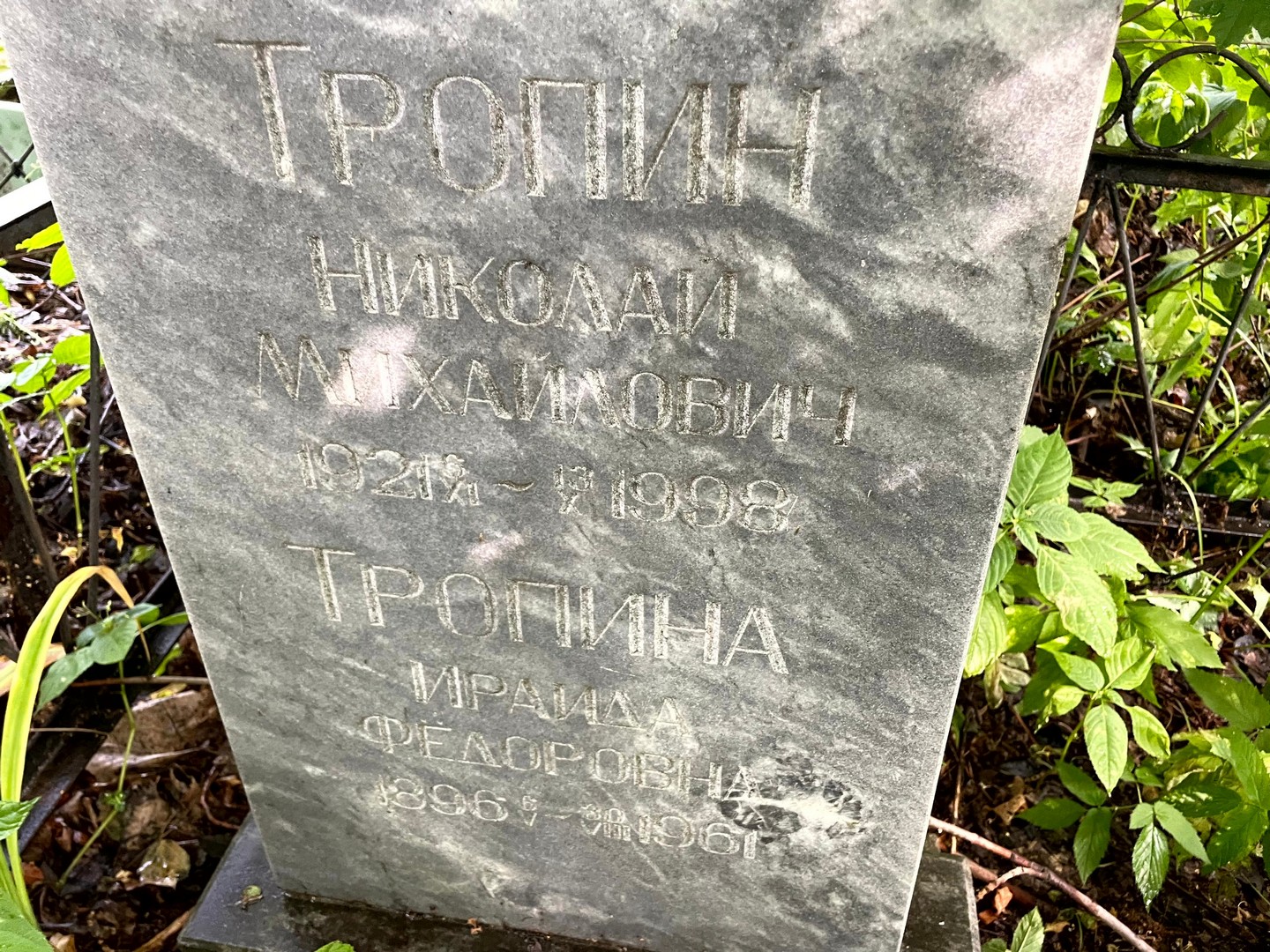 Тропин