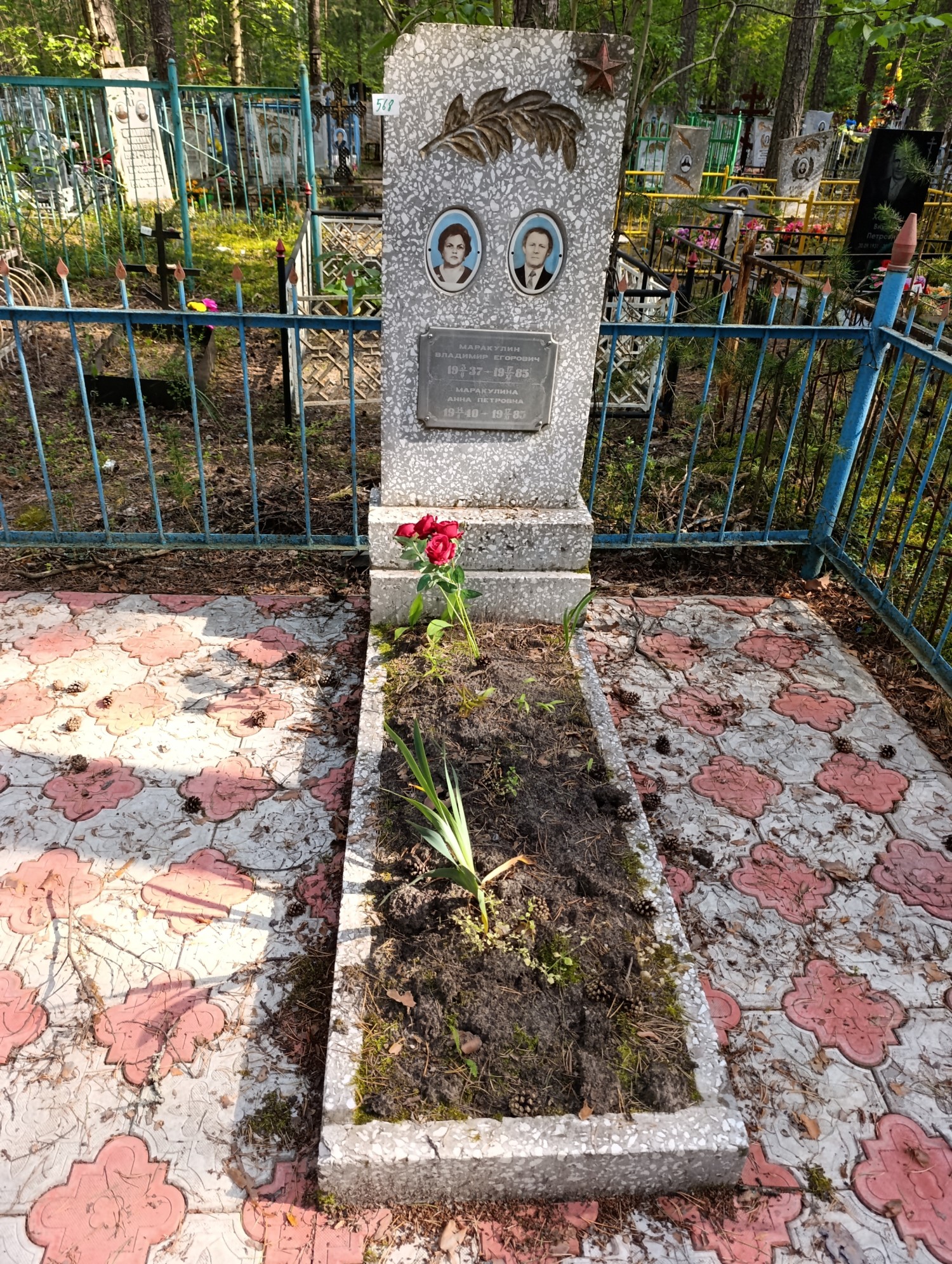 Маракулин Владимир Егорович