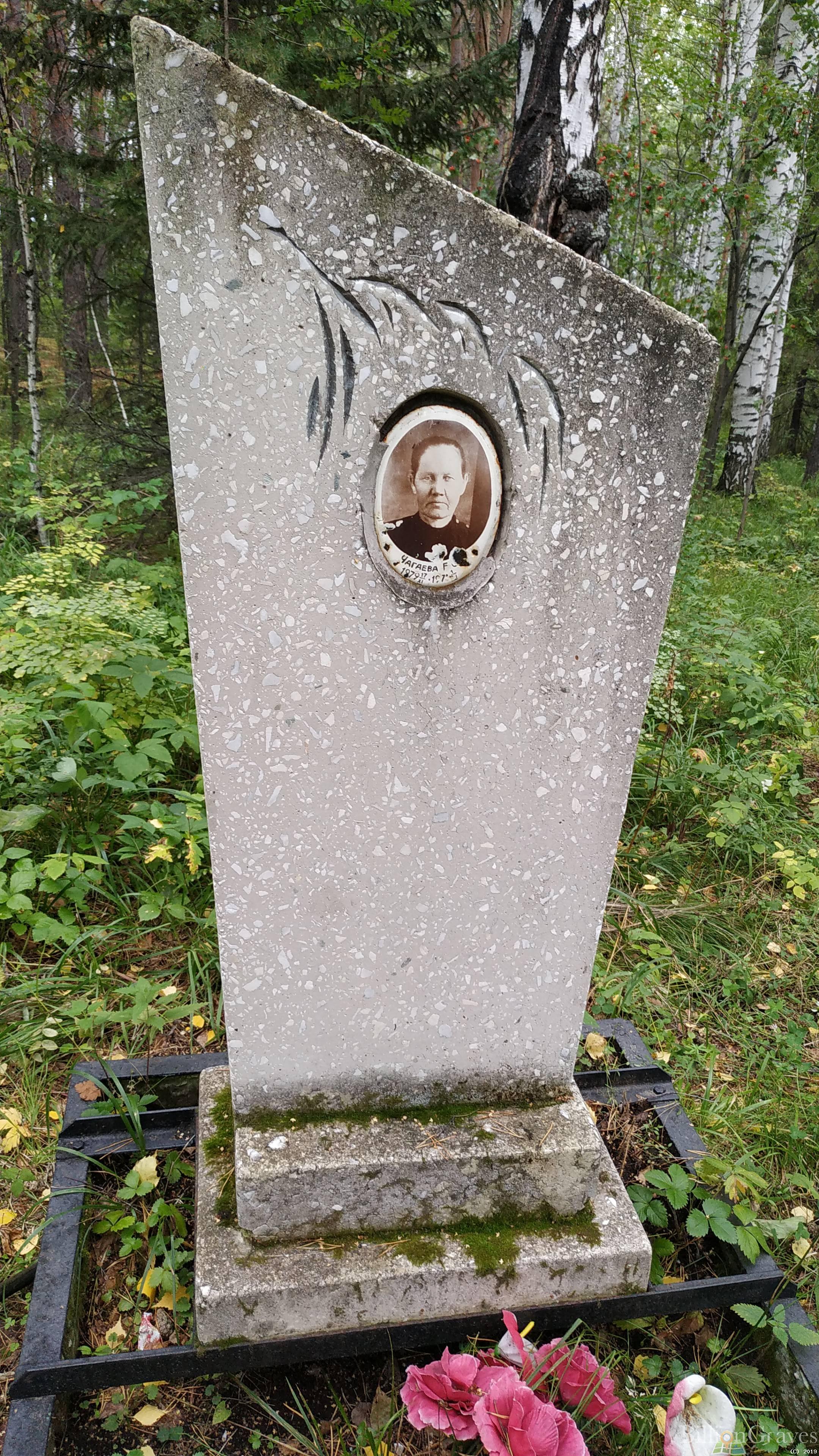 Чагаева Е.