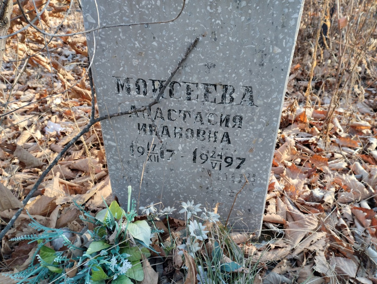 Моисеева Анастасия Ивановна