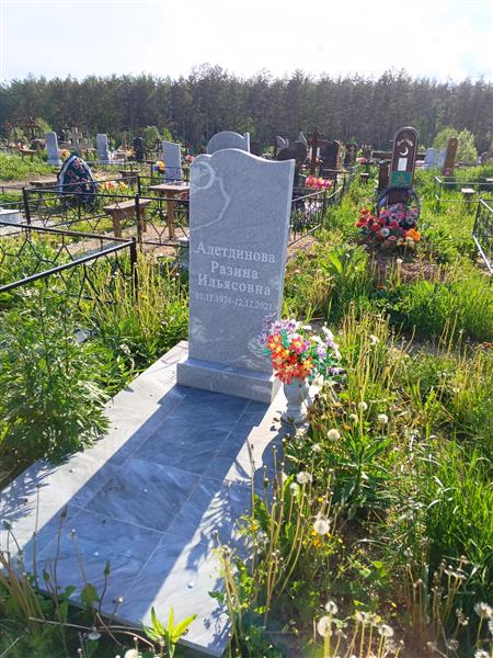 Алетдинова Разина Ильясовна