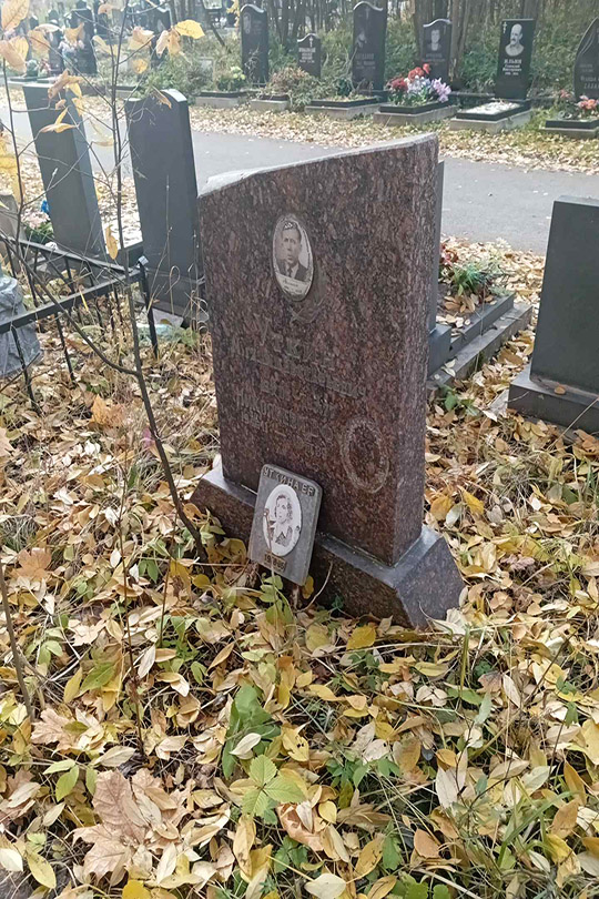 Николаева В. Ф.