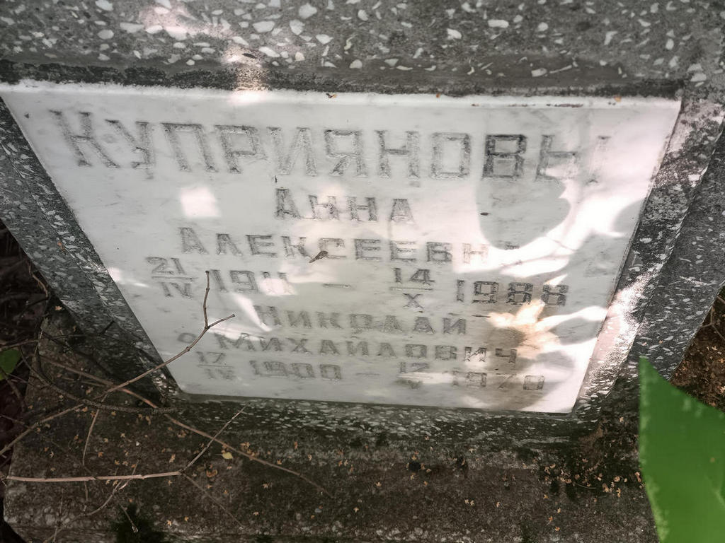 Куприянов Николай Михайлович