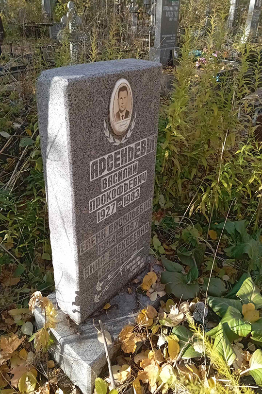 Арсеньев Василий Прокофьевич
