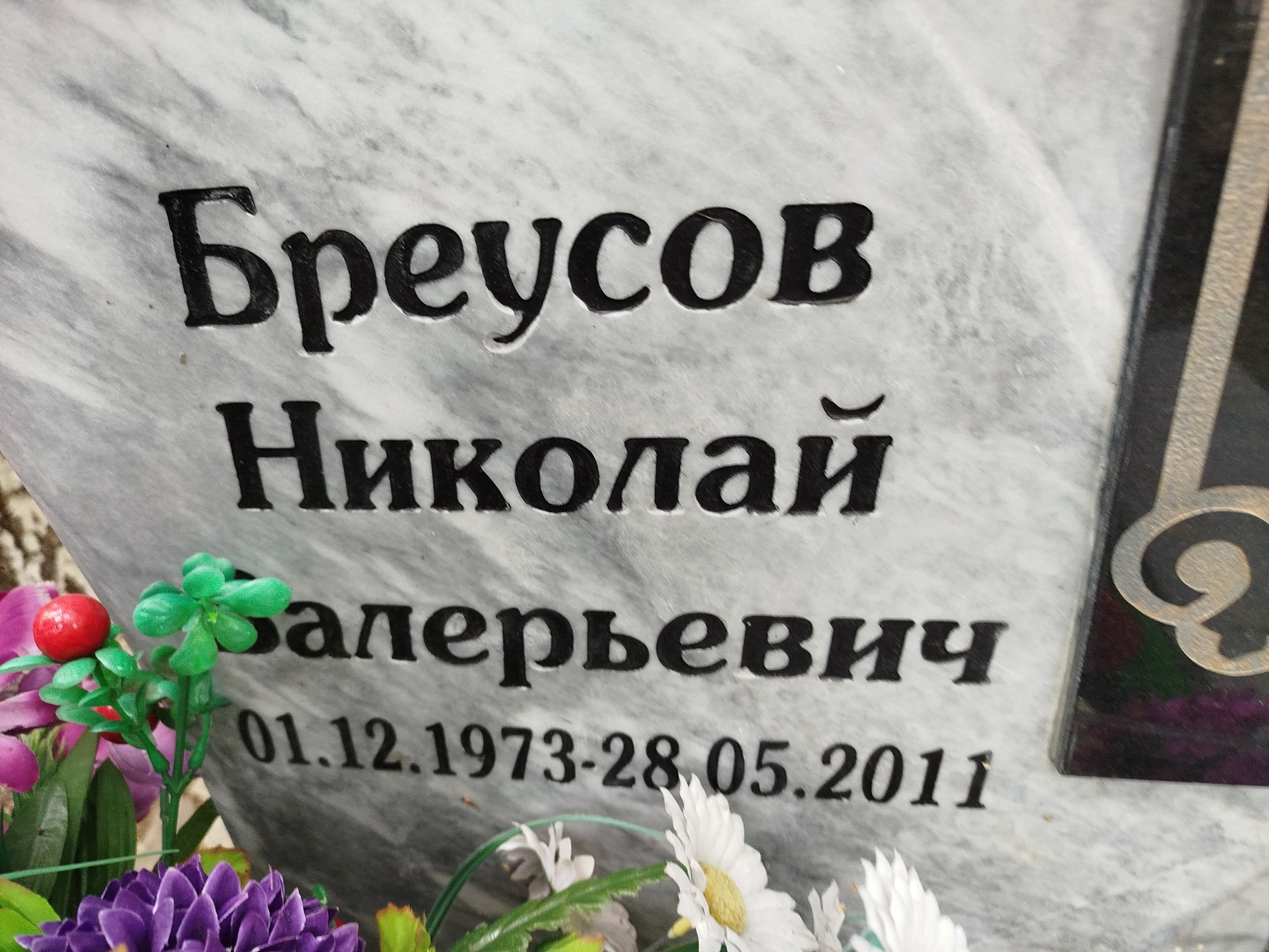 Бреусов Николай Валерьевич