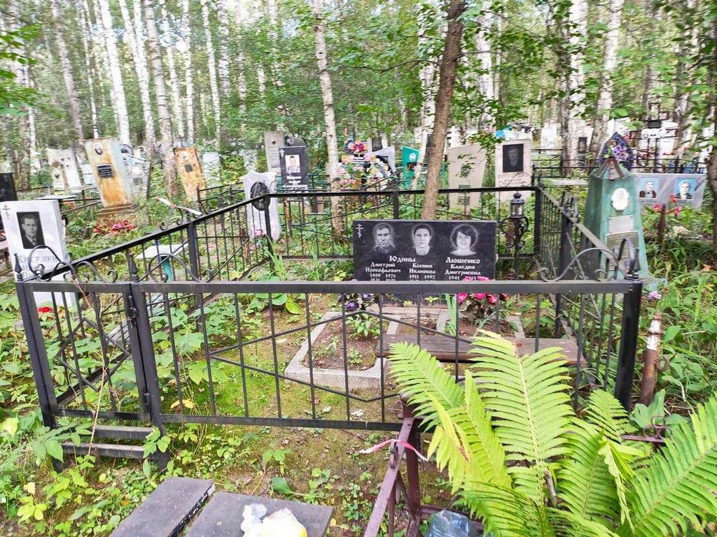 Юдин Дмитрий Прокофьевич