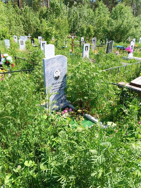 Шауберт Михаил Викторович