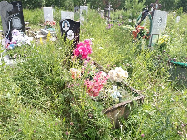 Портнова Юлия Сергеевна