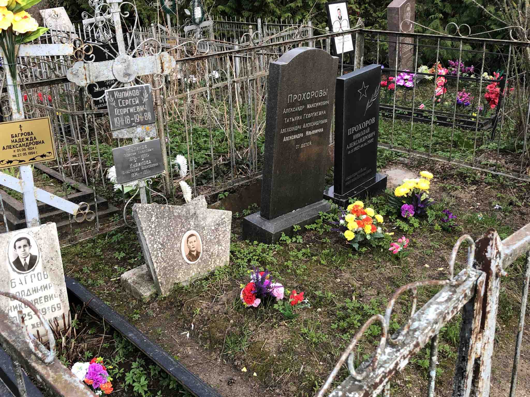 Багров Владимир Николаевич