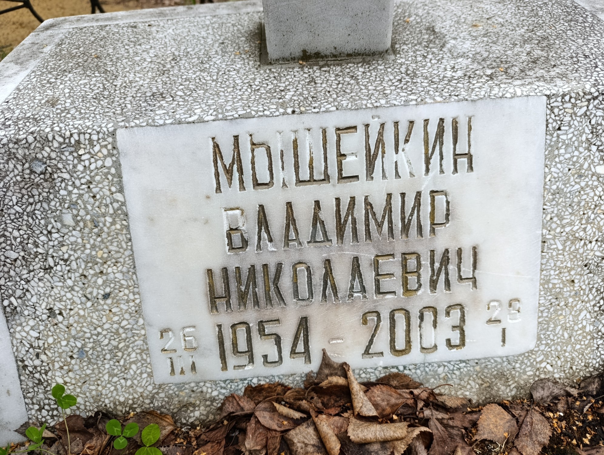 Мышейкин Владимир Николаевич