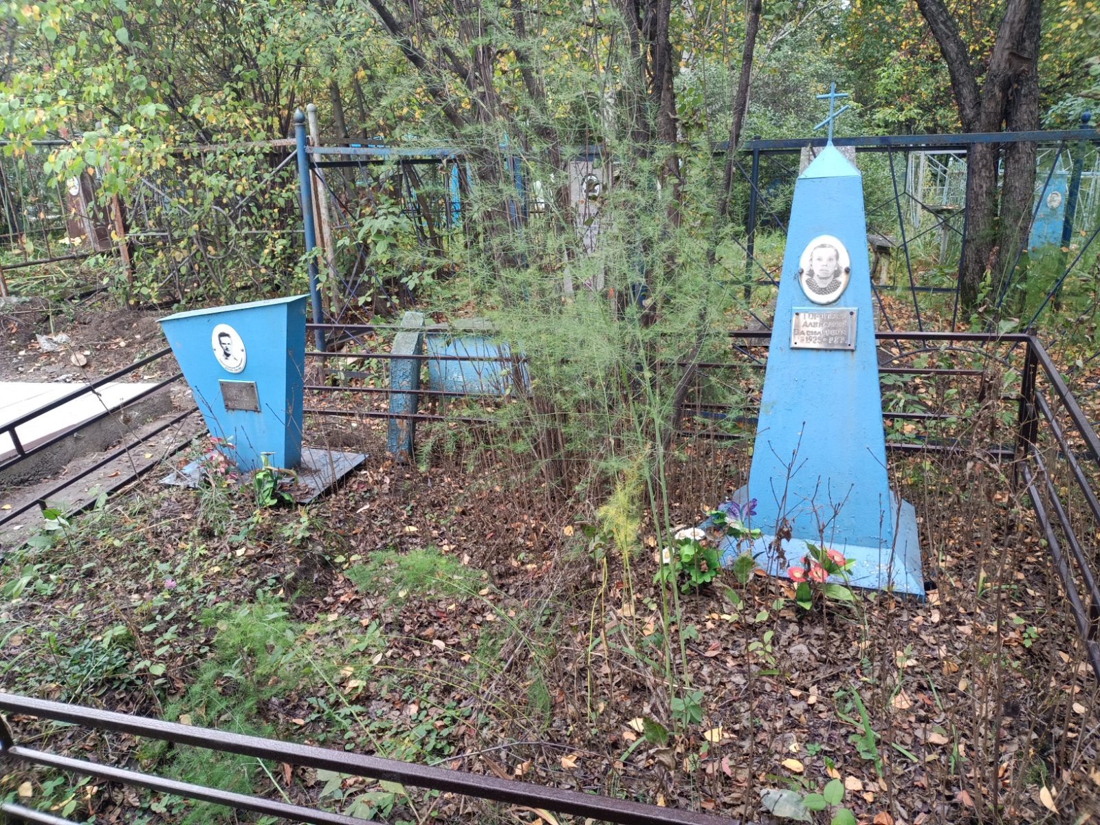Торопова Александра Васильевна