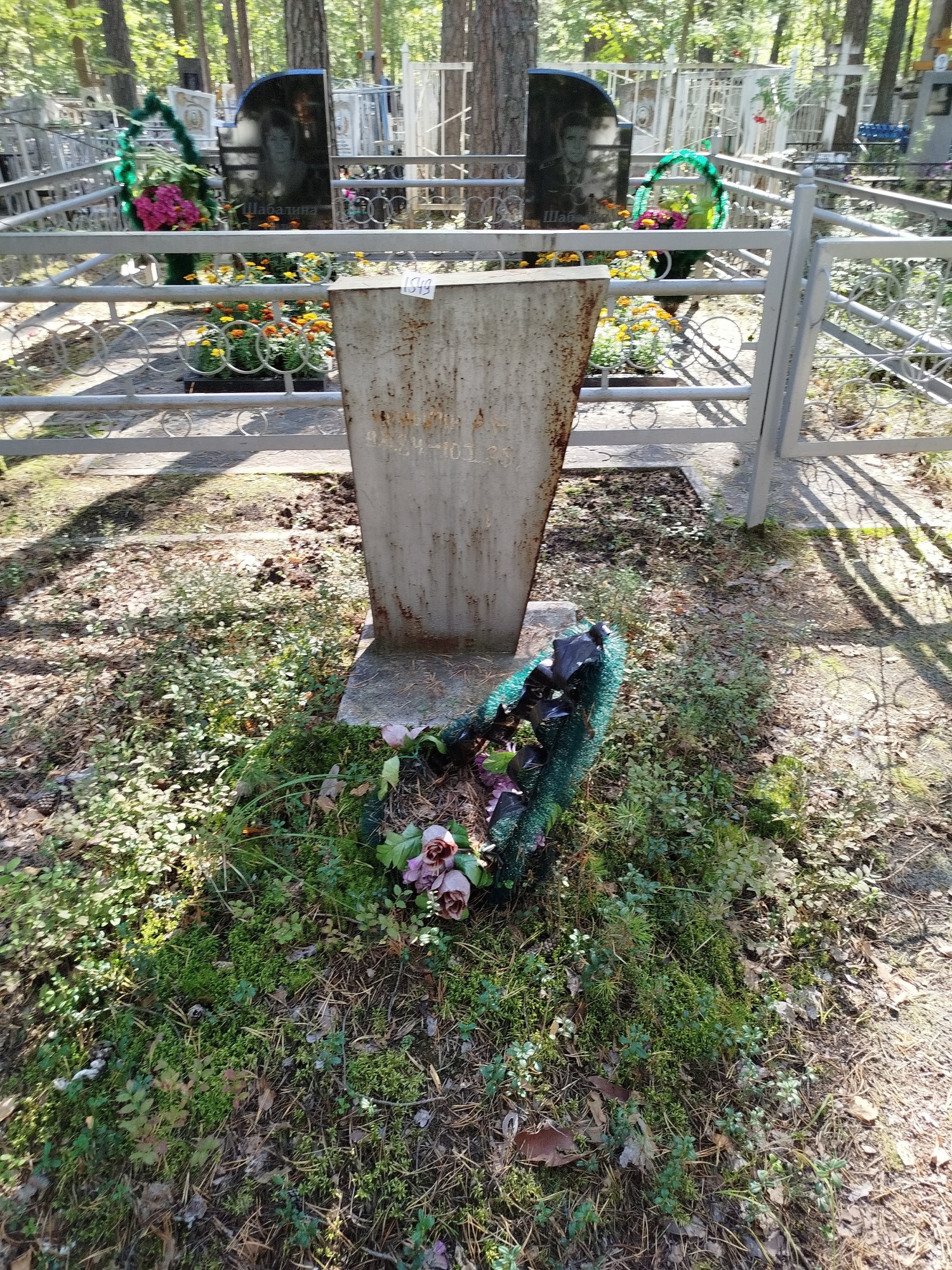 Чаплыгина А Н