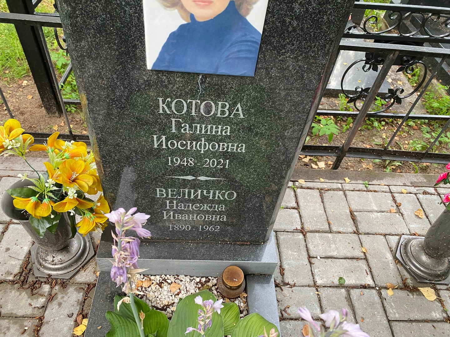 Котова