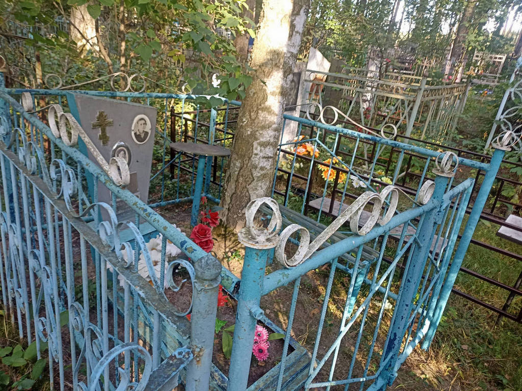 Сенцова Альбина Федоровна