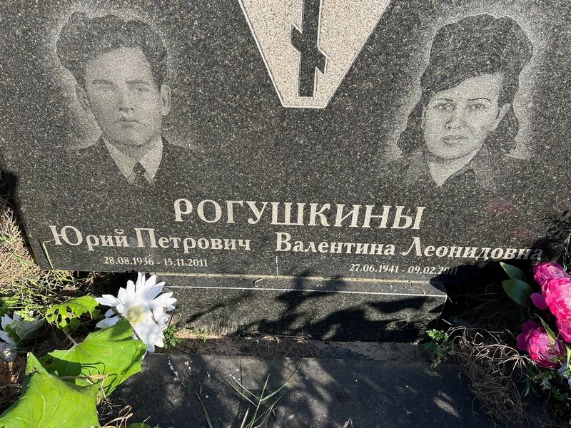 Рогушкин