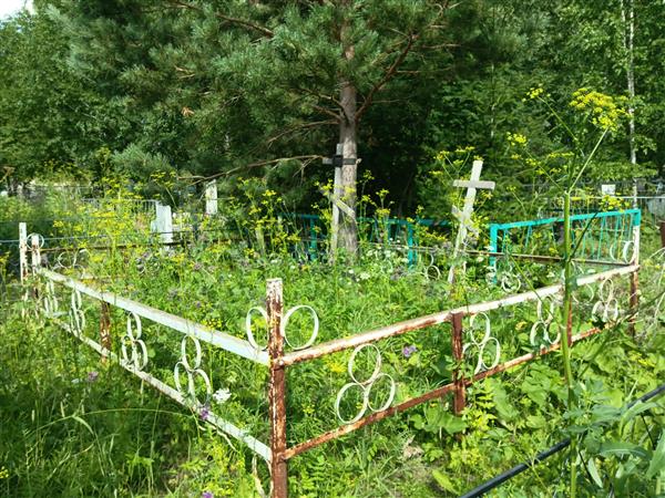 Голышев Геннадий Николаевич