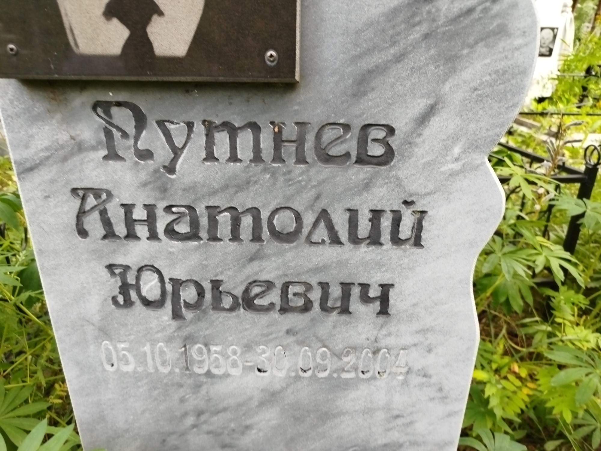 Путнев Анатолий Юрьевич