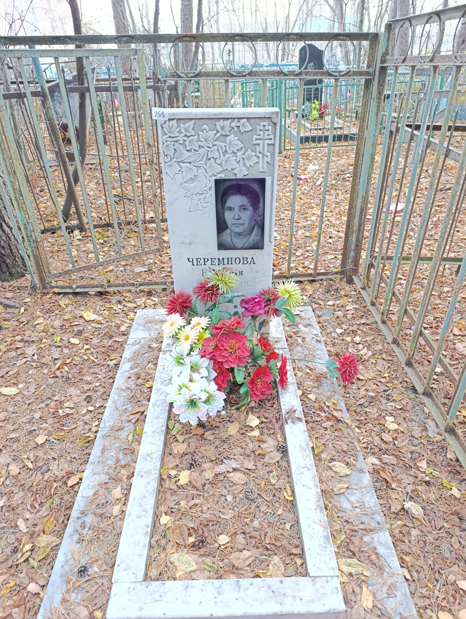 Черемнова Евгения Сергеевна