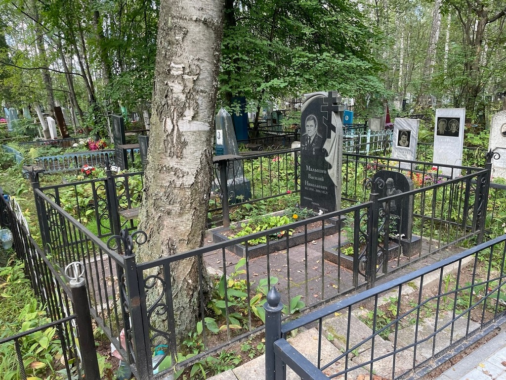 Малышев Василий Николаевич