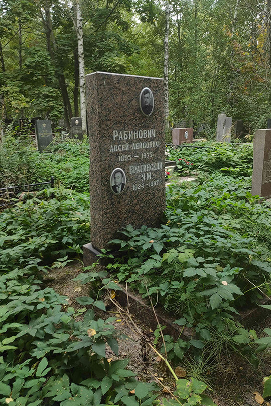 Брагинский Яков Михайлович