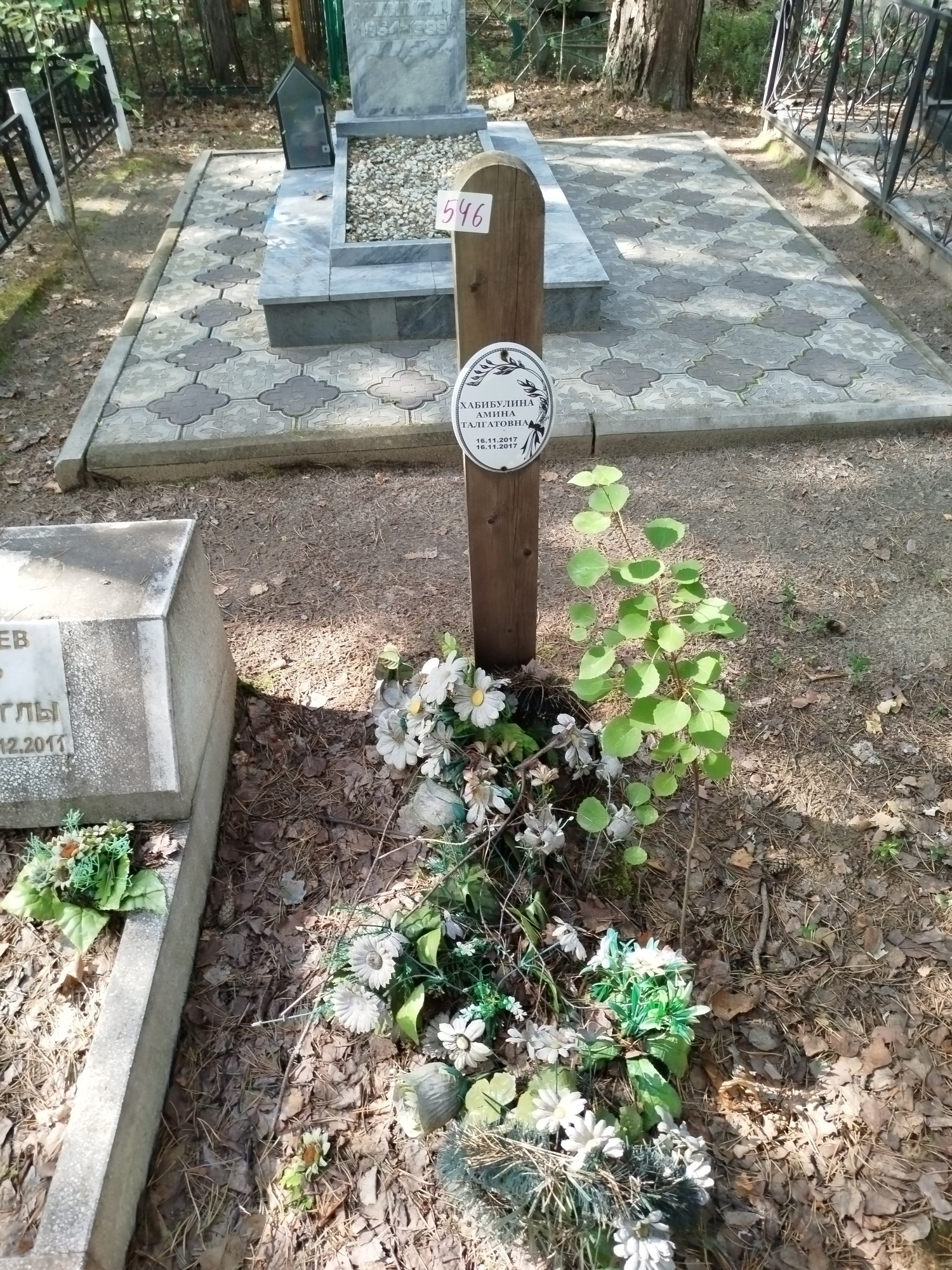 Хабибулина Амина Талгатовна