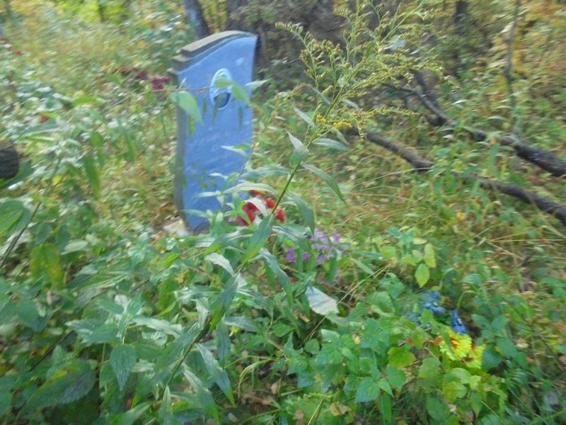 Данилов Олег Николаевич