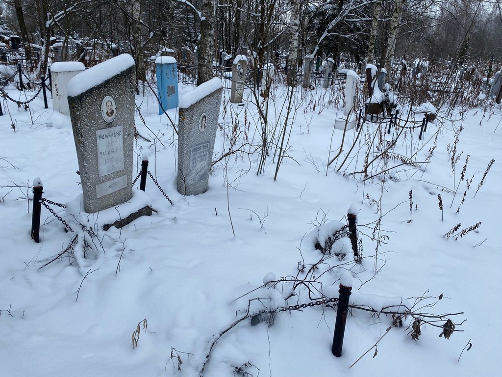 Мамичева Анна Васильевна