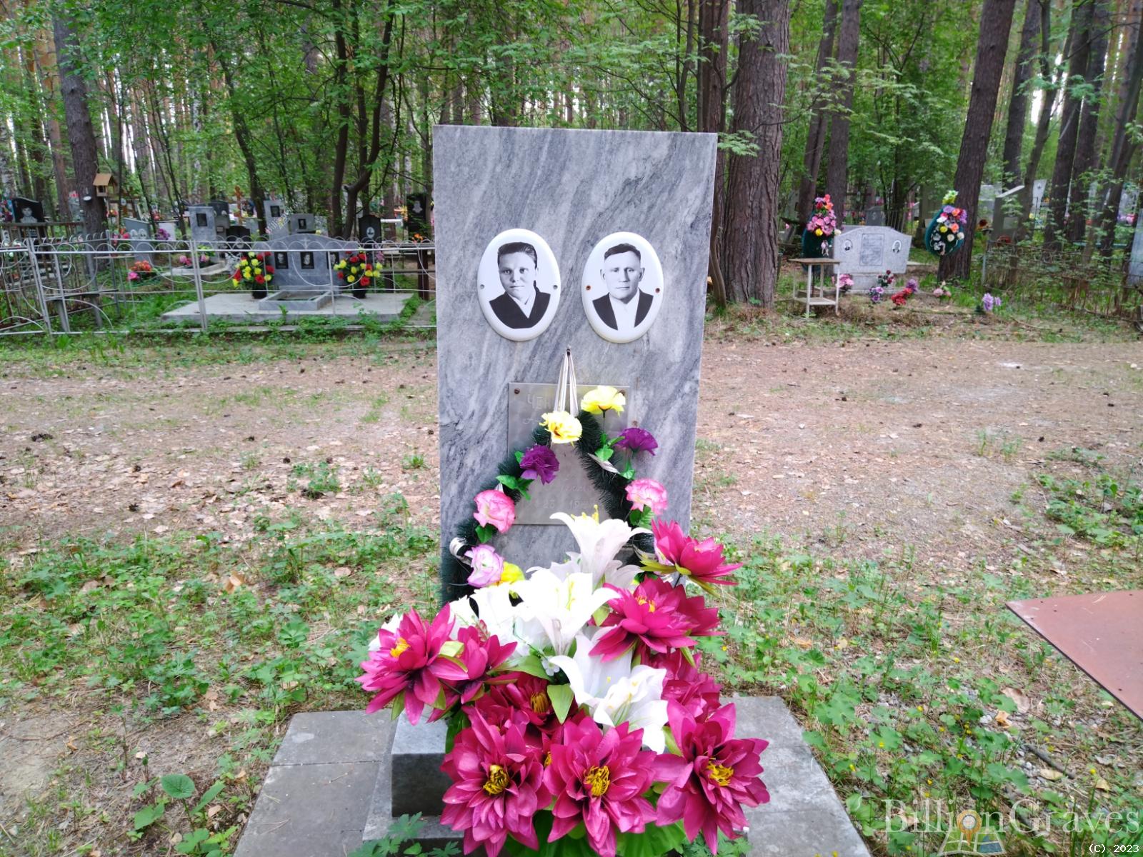 Чекалина Анастасия Алексеевна