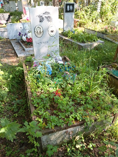 Путилов Владимир Николаевич
