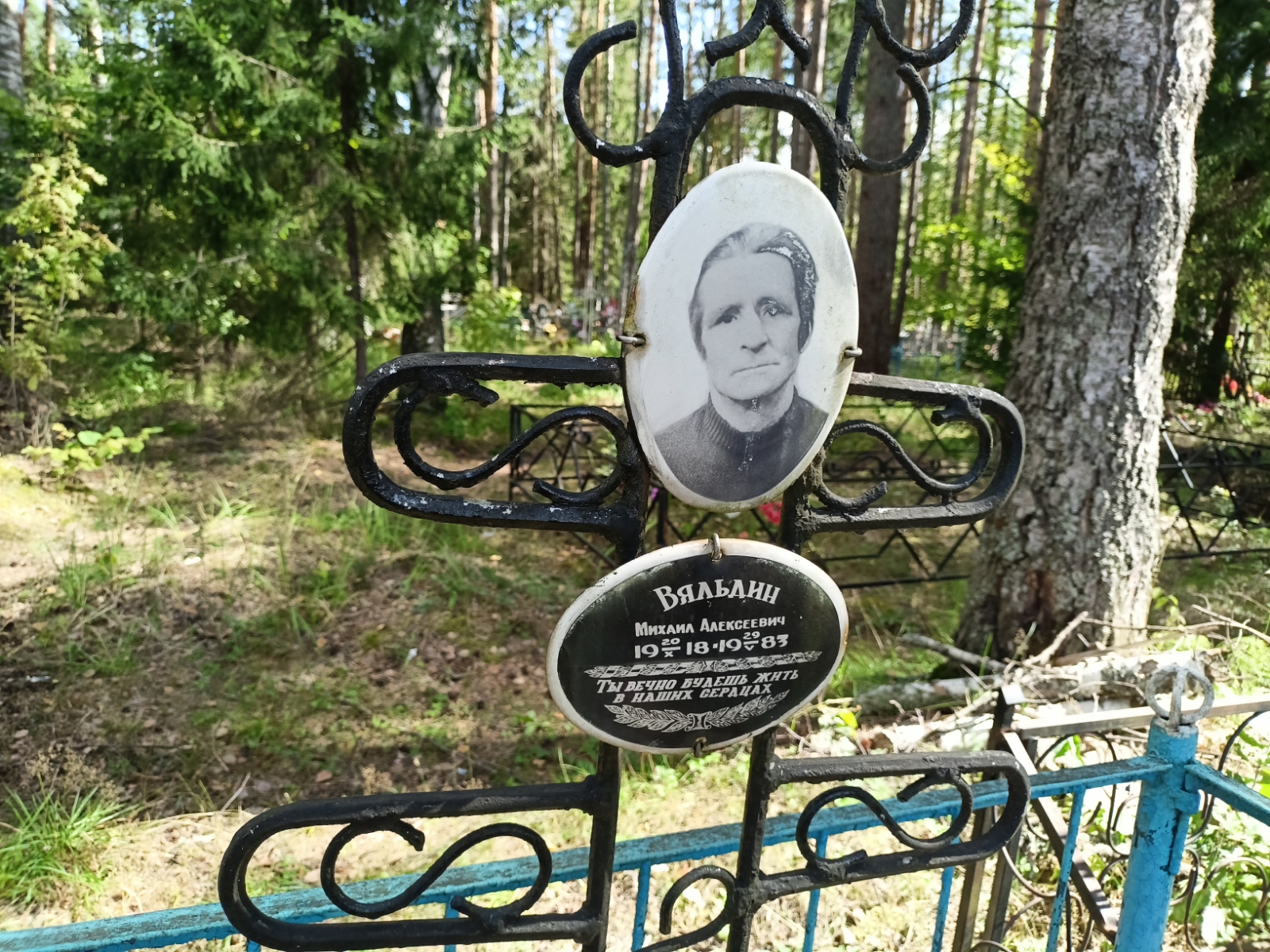 Вяльдин Михаил Алексеевич