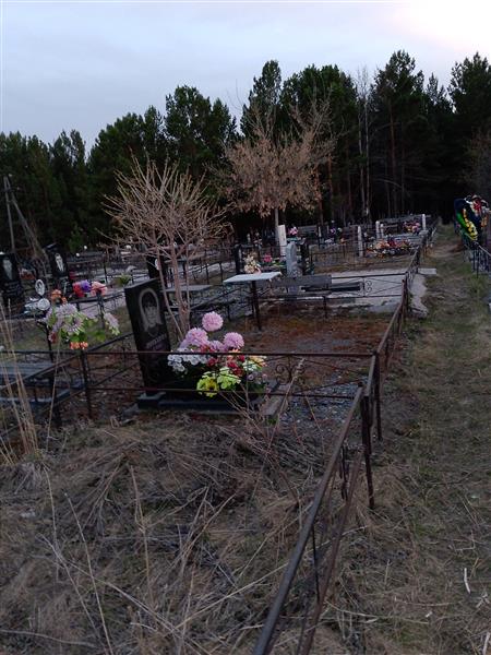 Потехина Елена Юрьевна