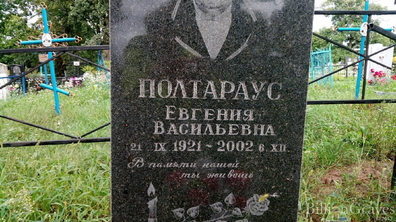 полтараус Евгения васильевна