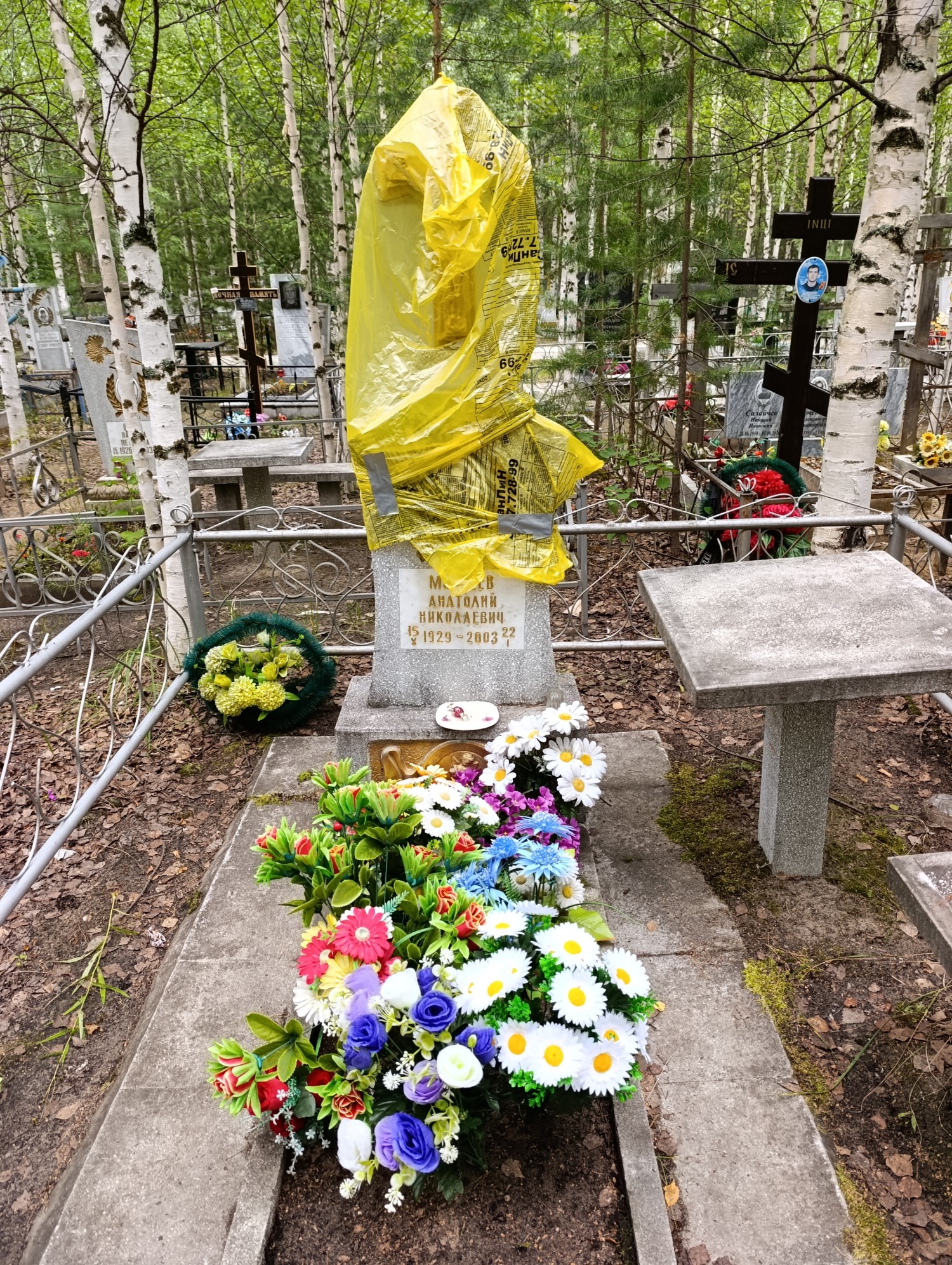 Моисеев Анатолий Николаевич