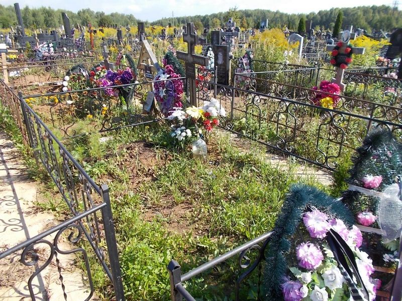 Золотов Сергей Евгеньевич
