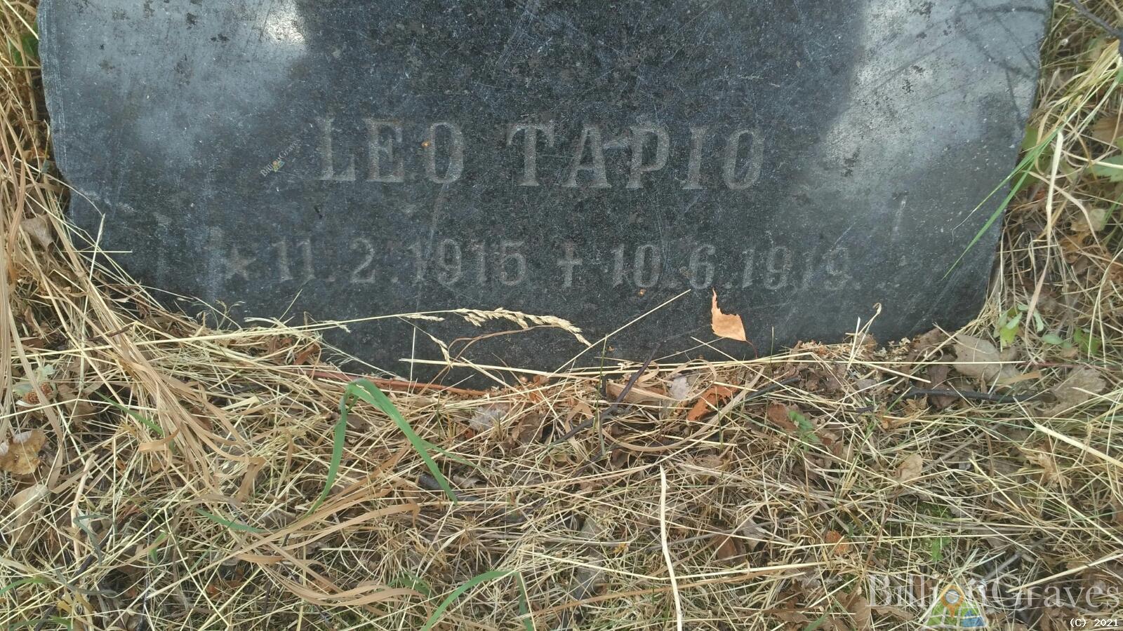 Tapio Leo