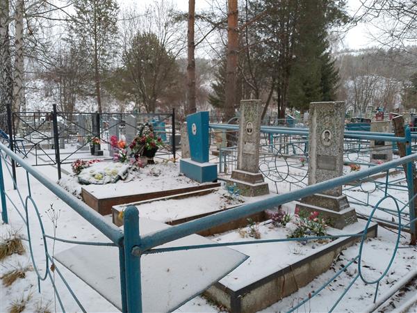 Черемиссинов Николай Михайлович