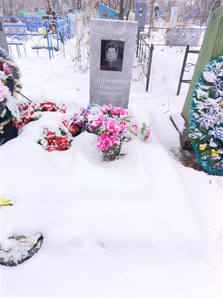 Дружинин Николай Иванович